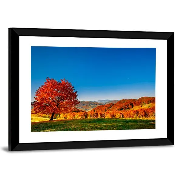 Carpathian Mountains In Autumn Canvas Wall Art