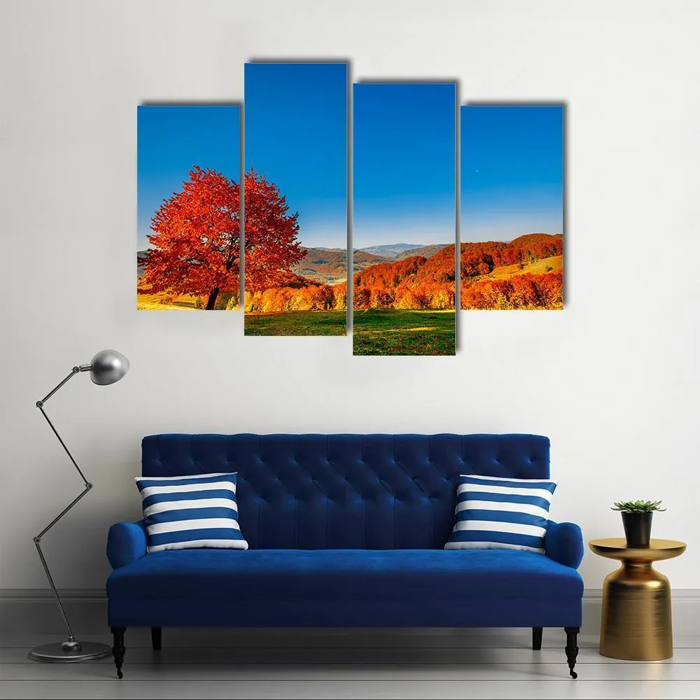 Carpathian Mountains In Autumn Canvas Wall Art