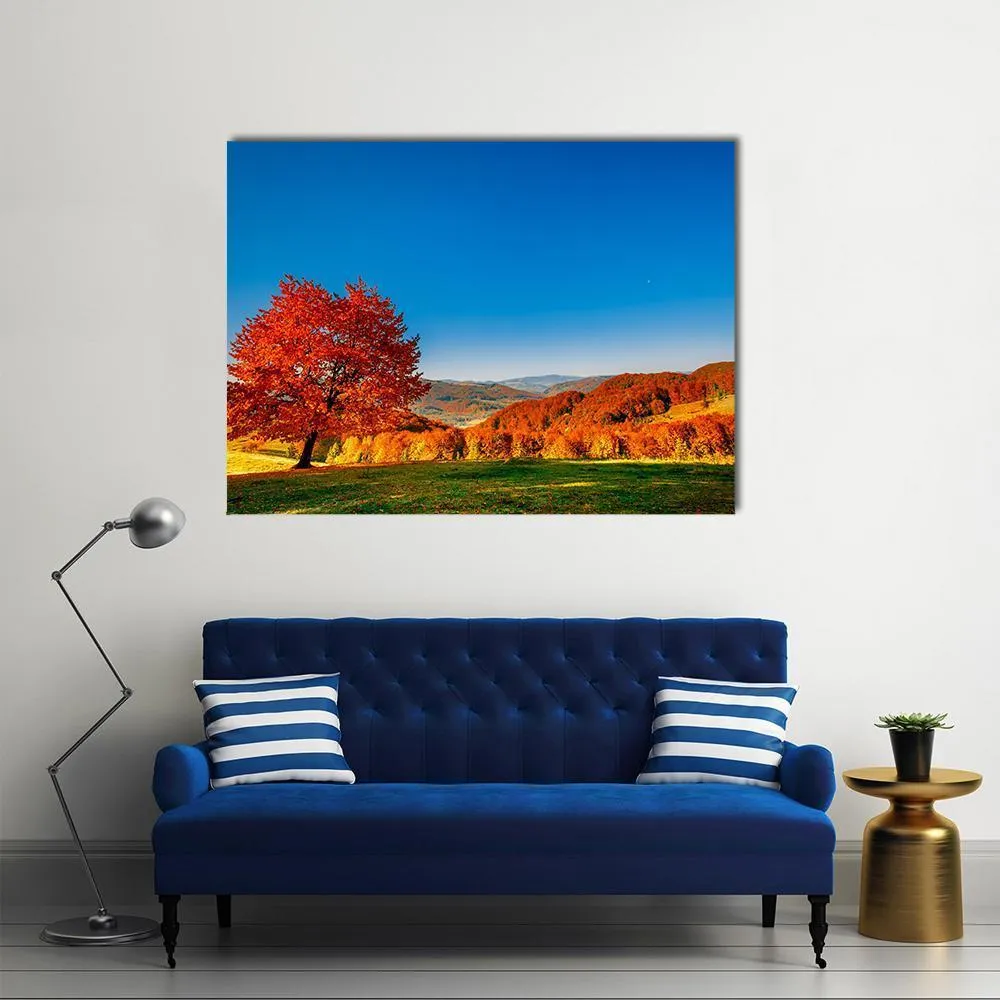 Carpathian Mountains In Autumn Canvas Wall Art