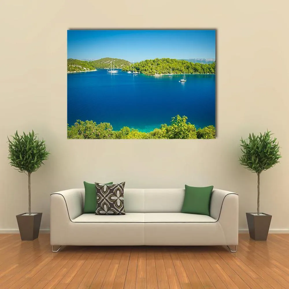 Coast Line Of Mljet Croatia Canvas Wall Art