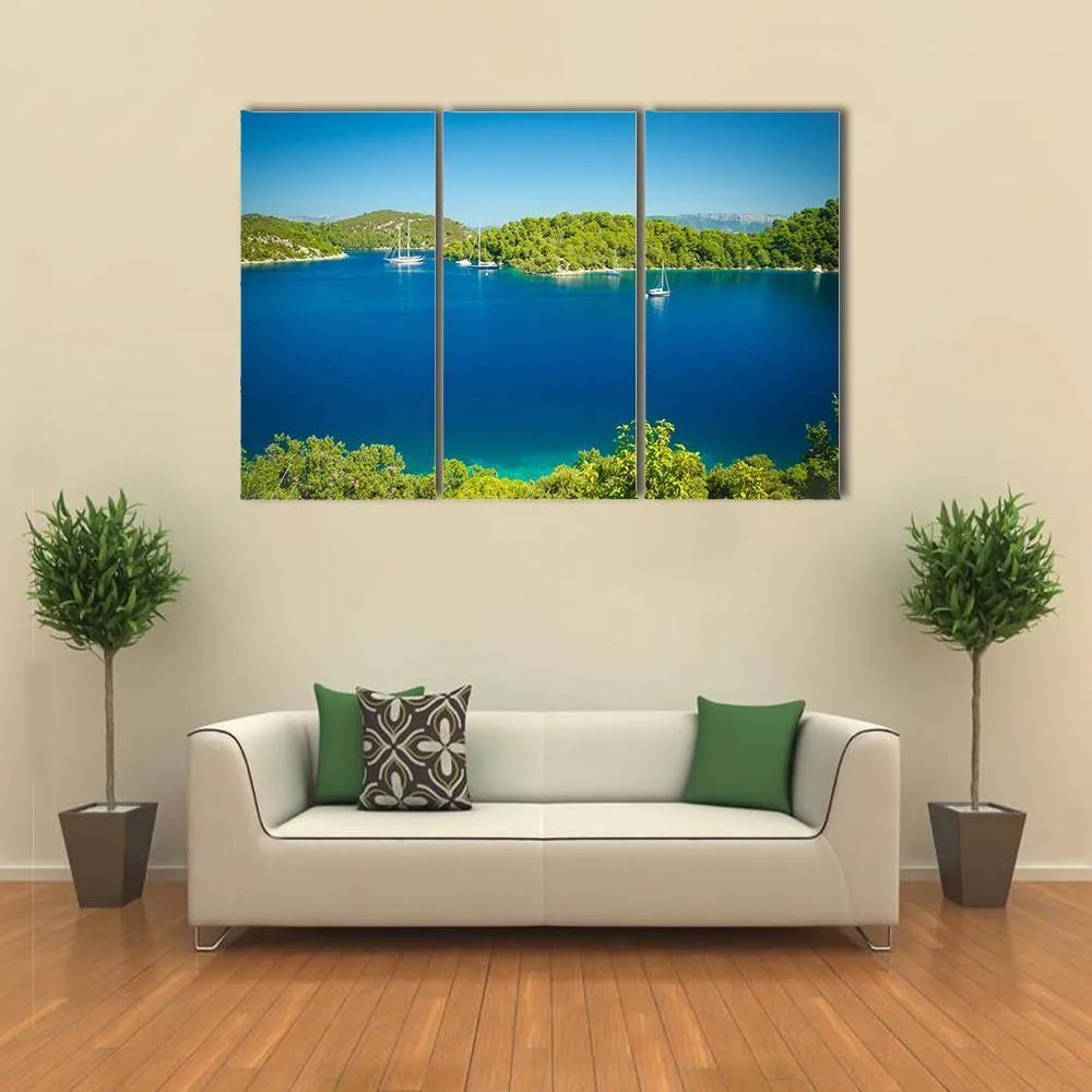 Coast Line Of Mljet Croatia Canvas Wall Art