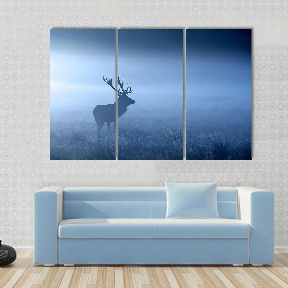 Deer In Fog Canvas Wall Art