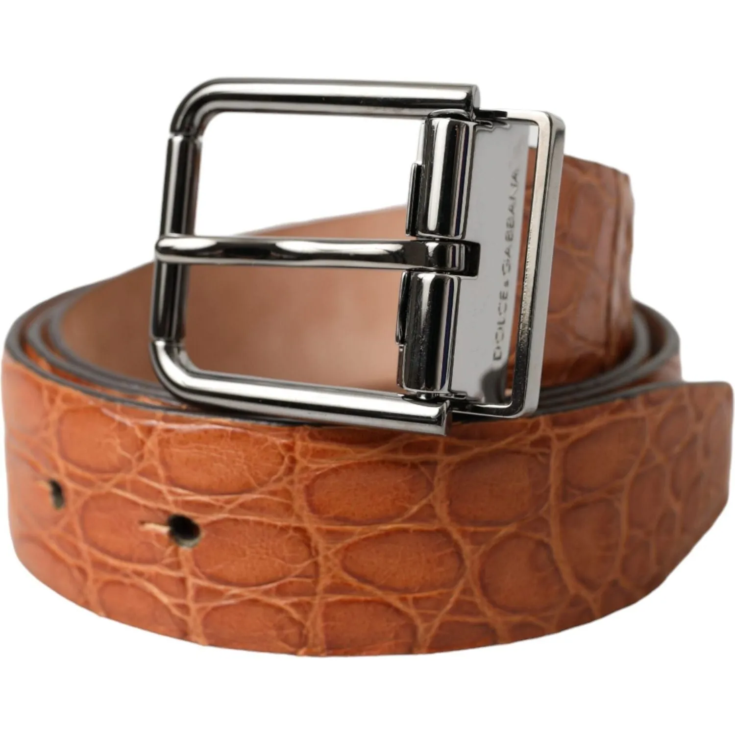 Dolce & Gabbana Brown Exotic Leather Silver Metal Buckle Belt