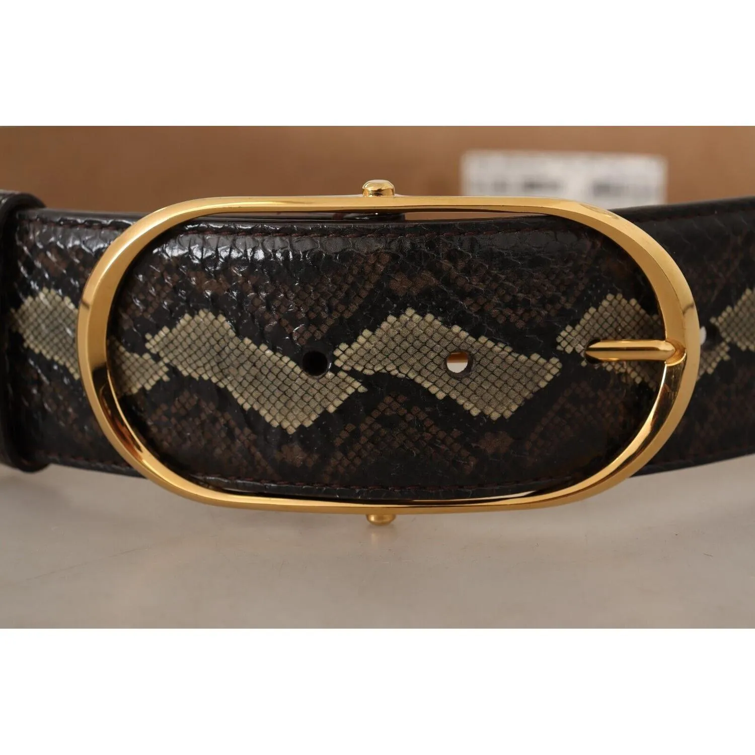 Dolce & Gabbana Elegant Snakeskin Belt with Gold Oval Buckle