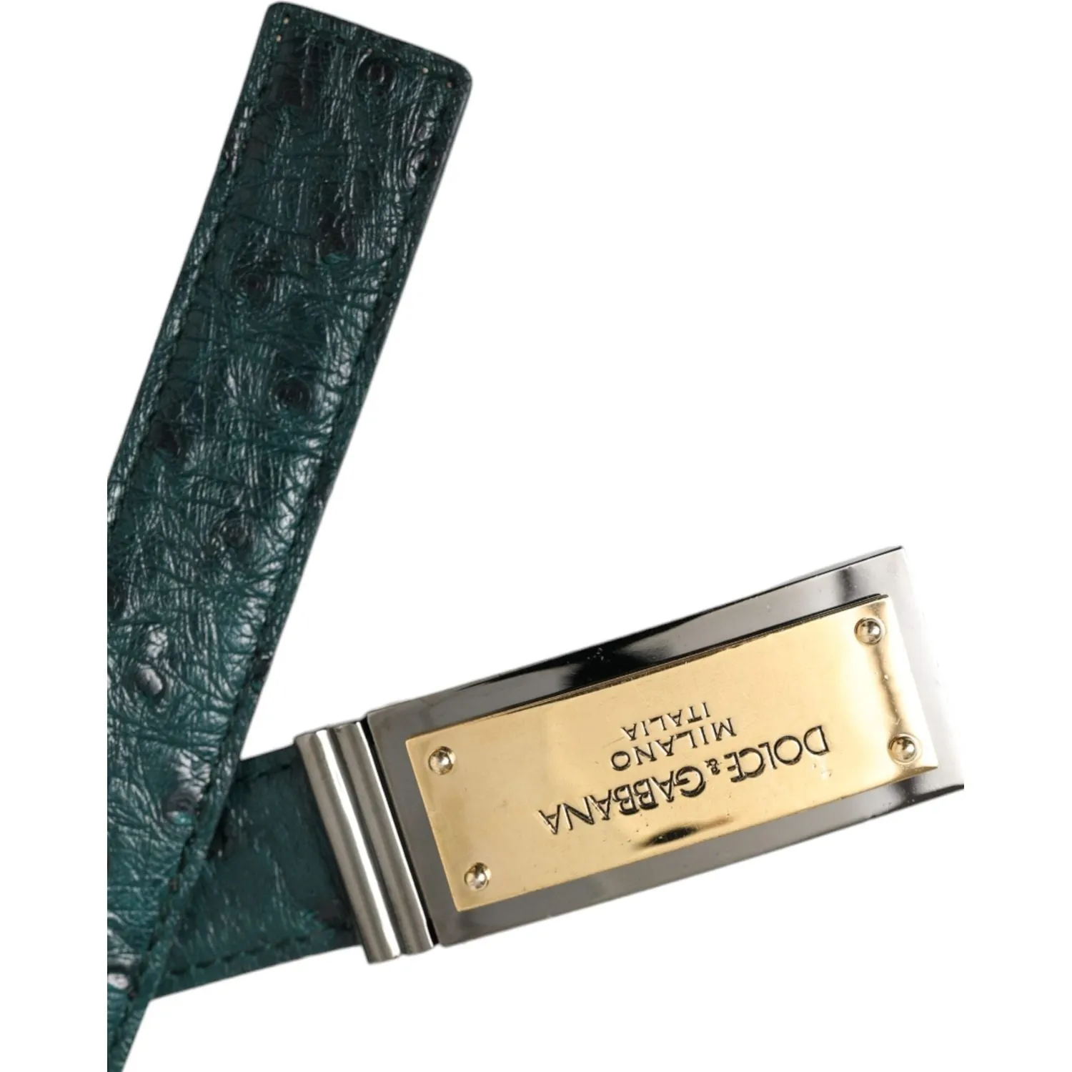 Dolce & Gabbana Green Leather Gold Logo Engraved Buckle Belt