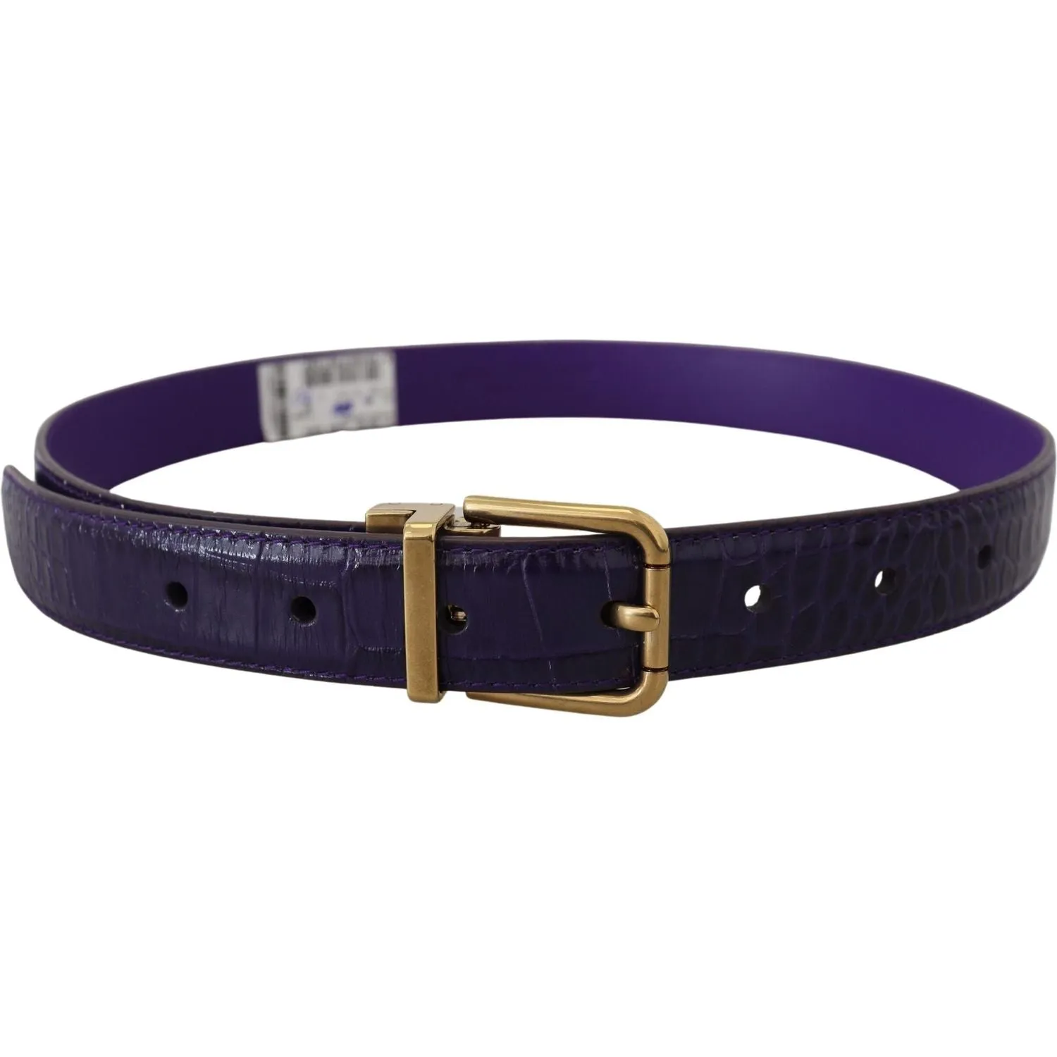 Dolce & Gabbana Purple Exotic Leather Gold Metal Buckle Belt