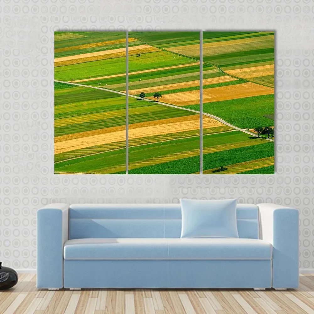 Green Fields View Before Harvest Canvas Wall Art