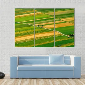 Green Fields View Before Harvest Canvas Wall Art