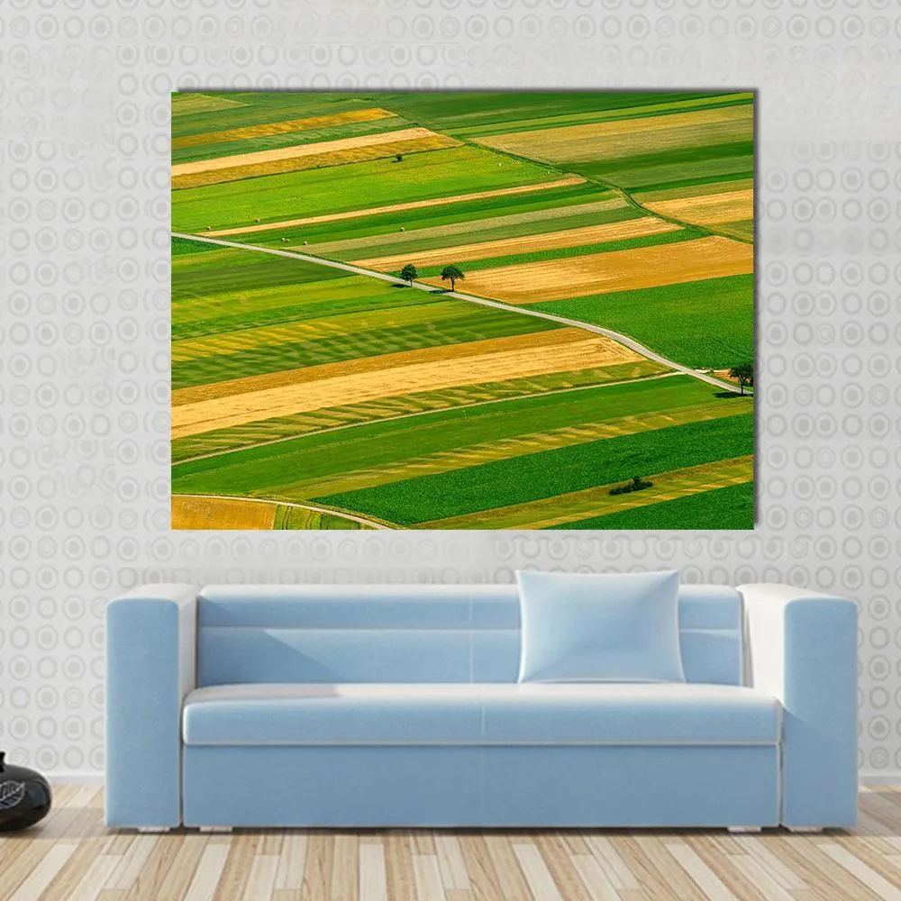 Green Fields View Before Harvest Canvas Wall Art