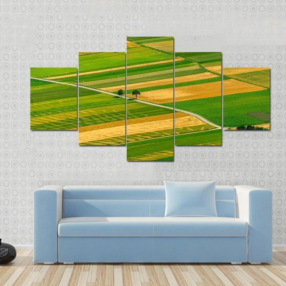 Green Fields View Before Harvest Canvas Wall Art