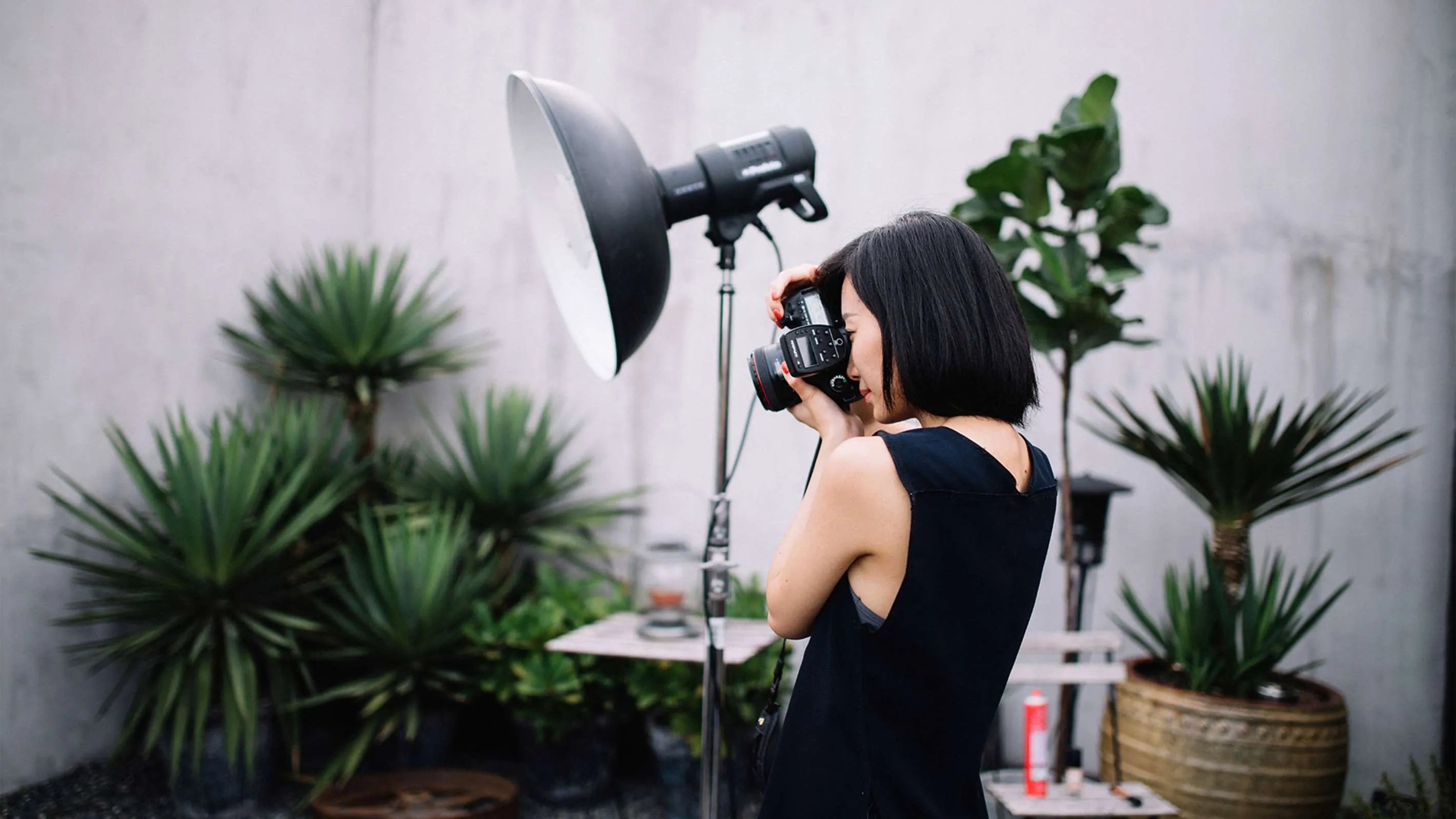 Profoto Softlight Reflector (Beauty Dish) White, 65º